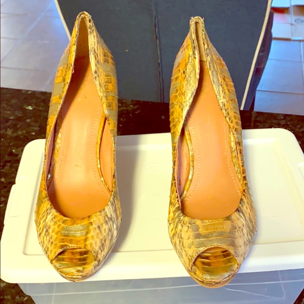 Lady’s Heel